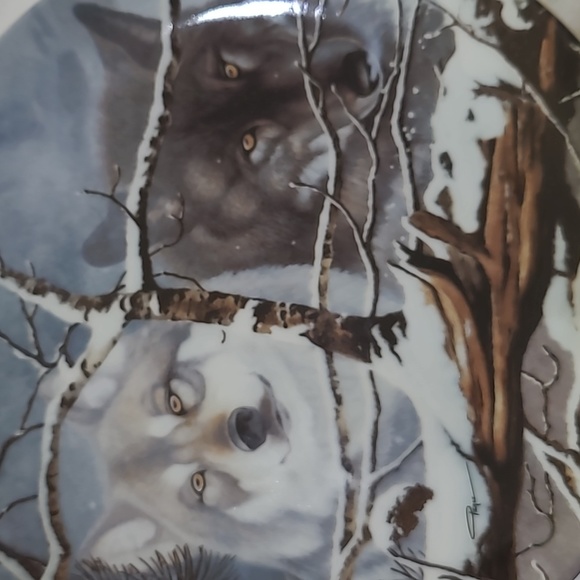 (3626)W J George-Collector Plate-Eyes Of The Wild-Eyes Of The Mist by Renn Pierc - Picture 3 of 3